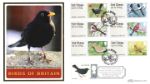 Birds of Britain: Series No.2
Blackbird
Producer: Benham
Series: BLCS (489)