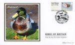 Birds of Britain: Series No.3
Mallard
Producer: Benham
Series: BS (1139)