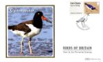 Birds of Britain: Series No.4
Oystercatcher
Producer: Benham
Series: BS (1209)