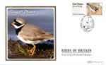 Birds of Britain: Series No.4
Ringed Plover
Producer: Benham
Series: BS (1210)