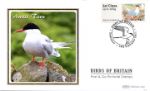 Birds of Britain: Series No.4
Arctic Tern
Producer: Benham
Series: BS (1212)