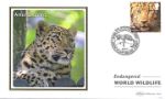 WWF
Amur Leopard
Producer: Benham
Series: BS (1109)
