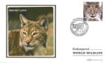 WWF
Iberian Lynx