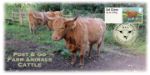 Farm Animals: Series No.3, Cattle
Higland Cattle