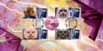 Doctor Who: Generic Sheet
Sontaran