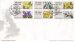 British Flora: Series No.1, Spring Blooms

British Isles