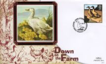11.01.2005
Farm Animals
Duck with chicks
Benham, BS No.383