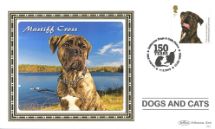 11.03.2010
Battersea Dogs & Cats Home
Mastiff Cross
Benham, BS No.942