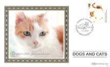 11.03.2010
Battersea Dogs & Cats Home
Domestic Shorthair
Benham, BS No.943