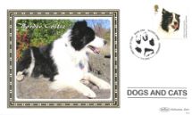 11.03.2010
Battersea Dogs & Cats Home
Border Collie
Benham, BS No.946