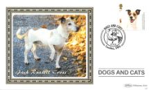 11.03.2010
Battersea Dogs & Cats Home
Jack Russell Cross
Benham, BS No.950