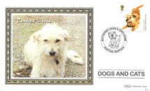 11.03.2010
Battersea Dogs & Cats Home
Terrier Cross
Benham, BS No.951