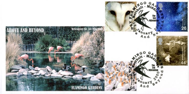 Above & Beyond, Flamingo Gardens