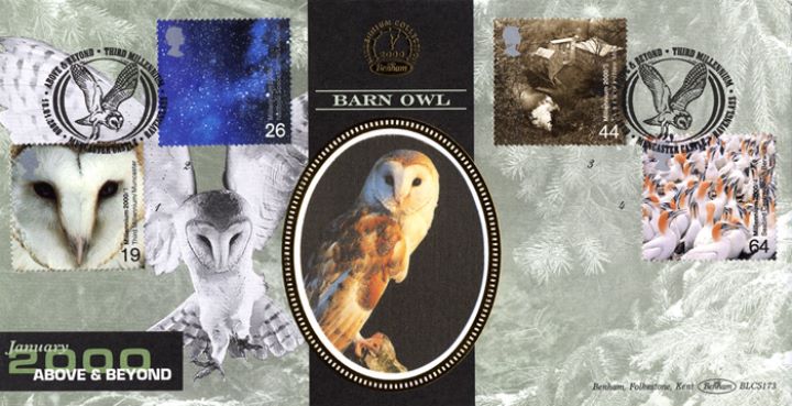 Above & Beyond, Barn Owl