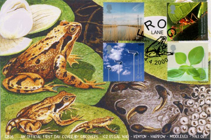 Life & Earth, Frogs