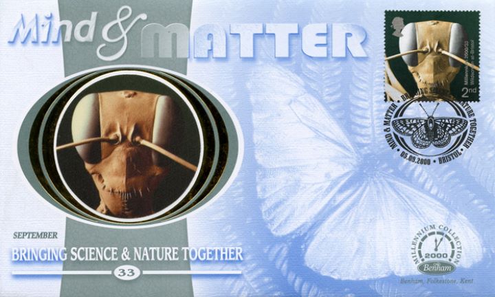 Mind & Matter, Insects