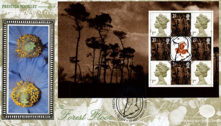 PSB: Trees - Pane 4, Welsh Poppy