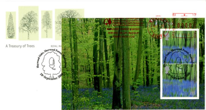 PSB: Trees - Pane 3, Bluebells in Wood