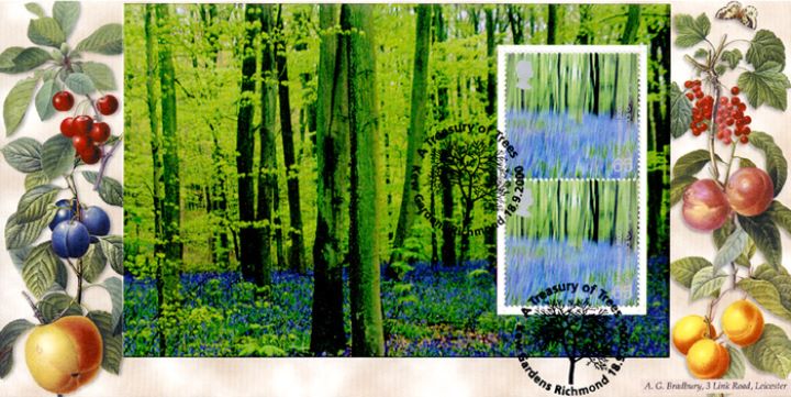 PSB: Trees - Pane 3, Bluebells in wood