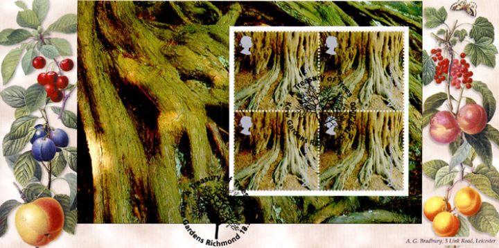 PSB: Trees - Pane 5, Yews for the Millennium