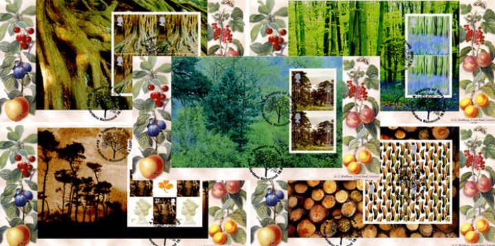 PSB: A Treasury of Trees, Fruits of the Tree