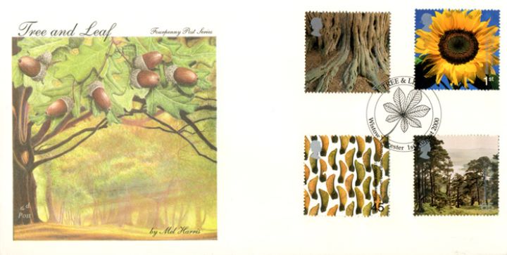 Tree & Leaf, The Oak and Acorns