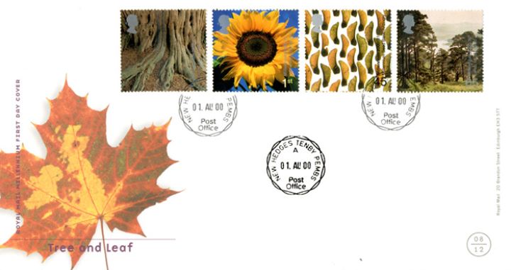 Tree & Leaf, CDS Postmarks