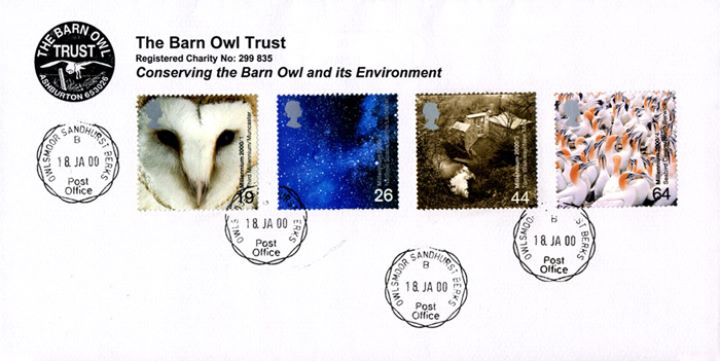 Above & Beyond, The Barn Owl Trust