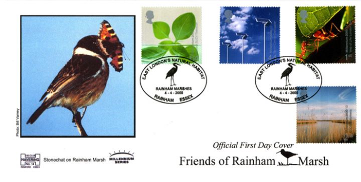 Life & Earth, Friends of Rainham Marsh