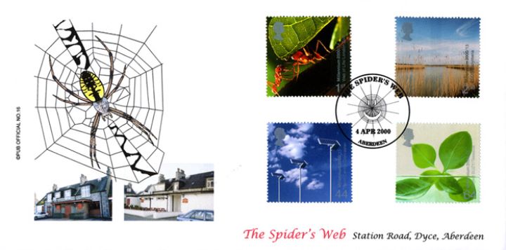 Life & Earth, The Spider's Web