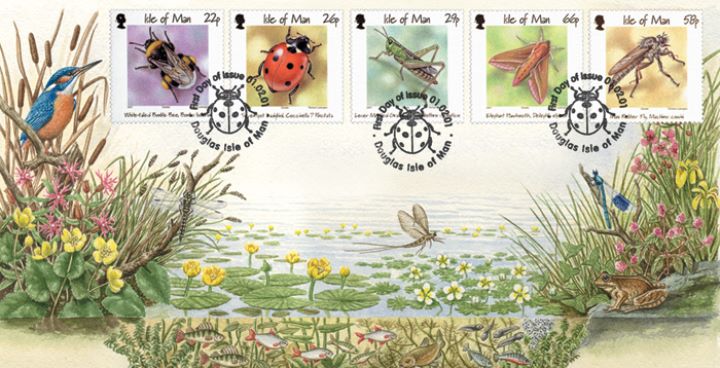 Bugs & Bees, Isle of Man Insects Issue