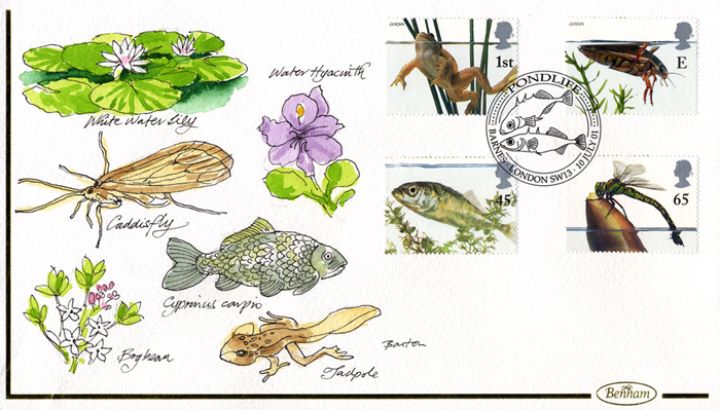 Pondlife, Flora and Fauna