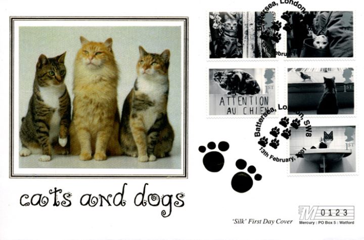 Cats & Dogs, Cats