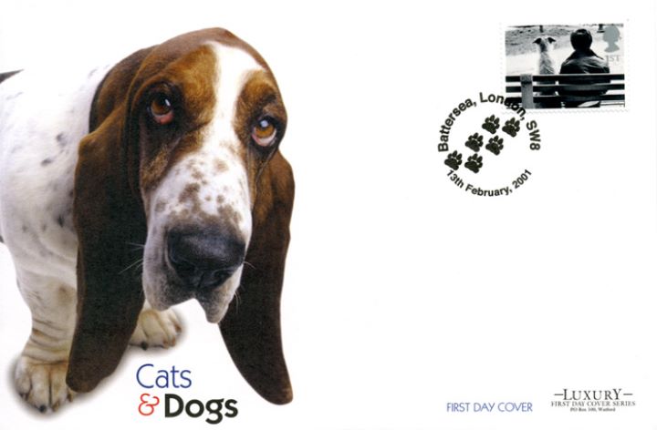 Cats & Dogs, Bassett Hound