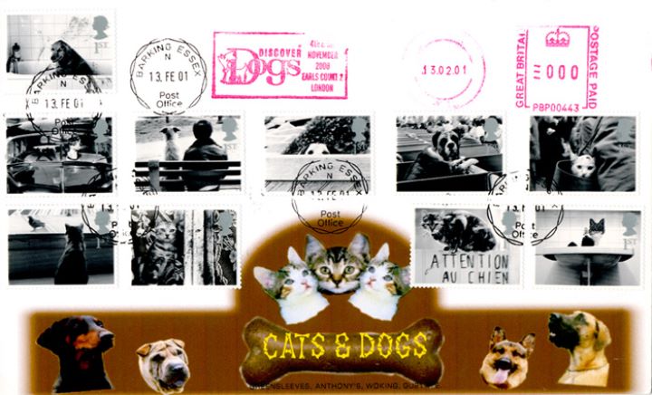 Cats & Dogs, Discover Dogs