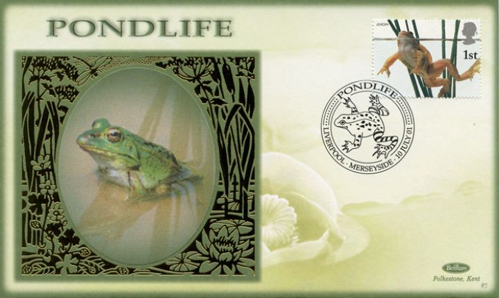 Pondlife, Frog