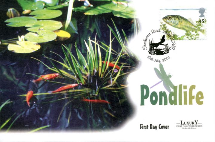 Pondlife, Fish in Pond