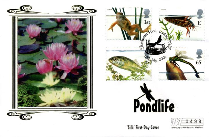 Pondlife, Water Lilies