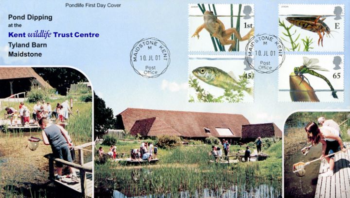 Pondlife, Kent Wildlife Trust Centre