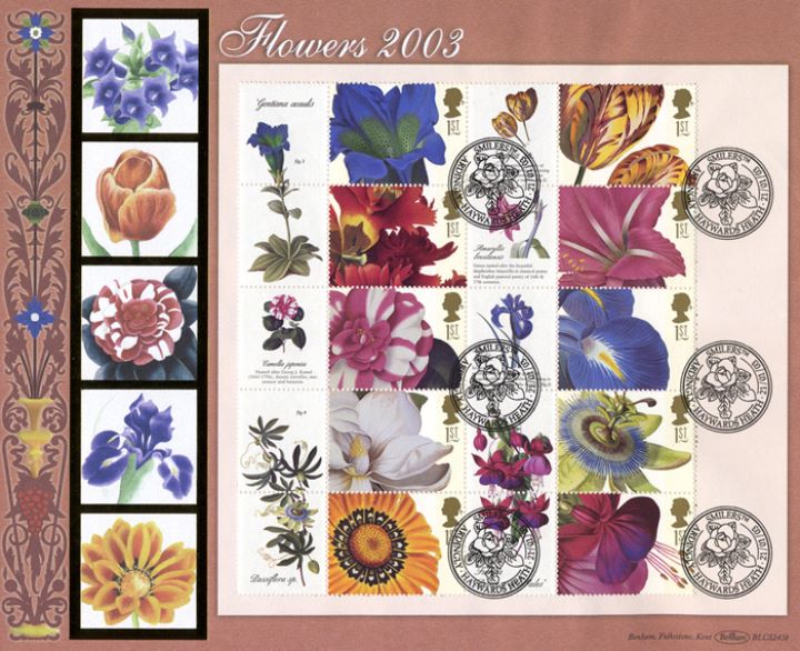 Flowers: Generic Sheet, Flowers