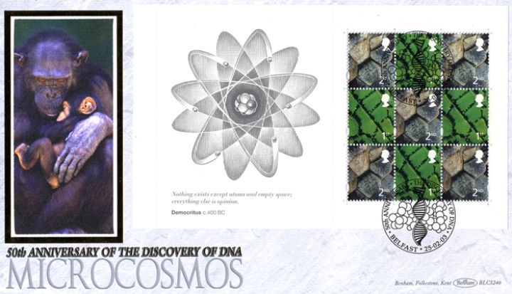 PSB: Microcosmos - Pane 1, Primates