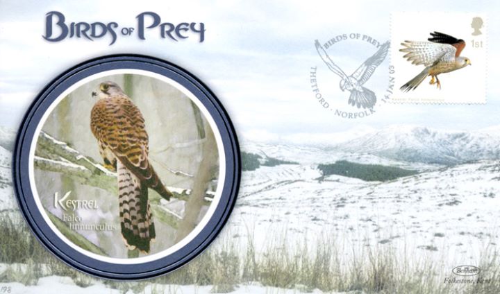 Birds of Prey, Kestrel