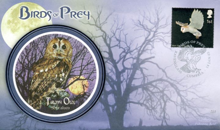 Birds of Prey, Tawny Owl