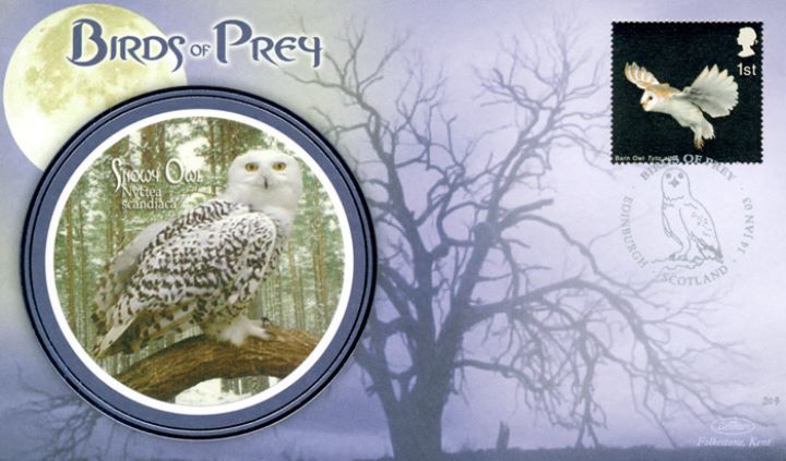 Birds of Prey, Snowy Owl