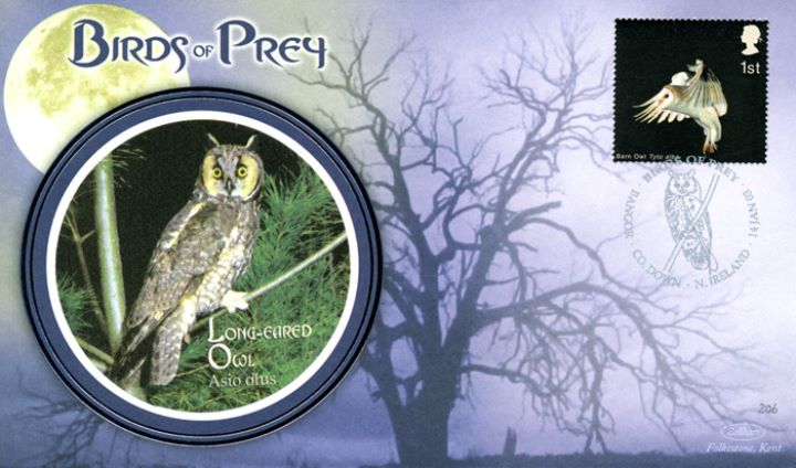 Birds of Prey, Long-eared Owl