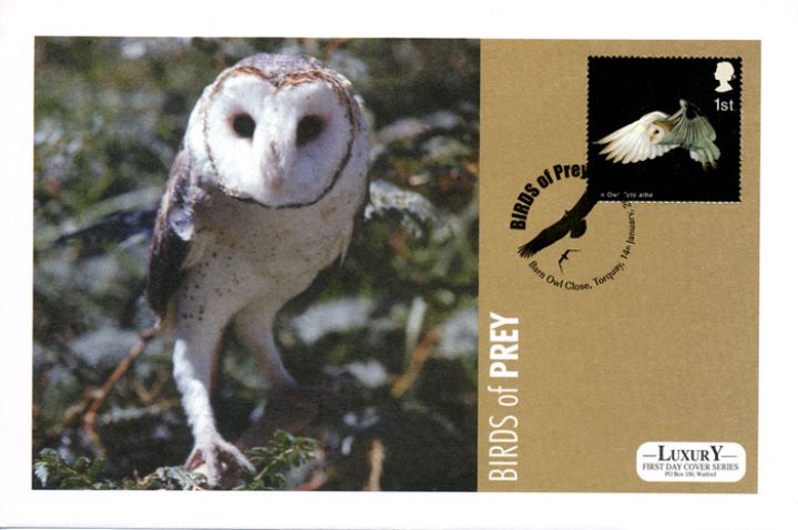 Birds of Prey, Barn Owl