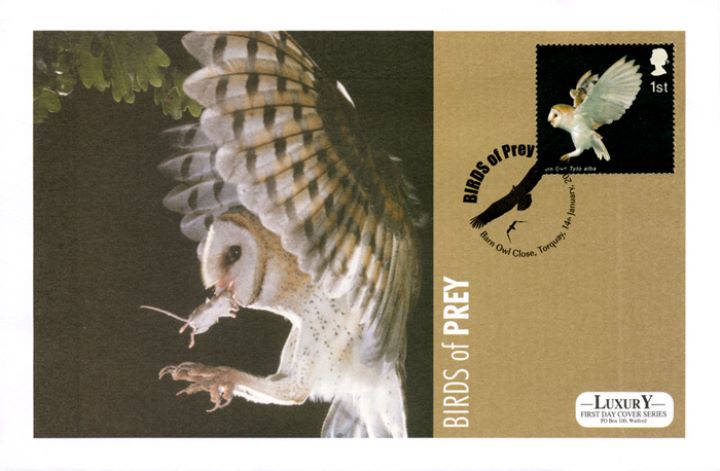 Birds of Prey, Owl in flight with mouse