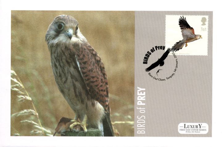 Birds of Prey, Kestrel