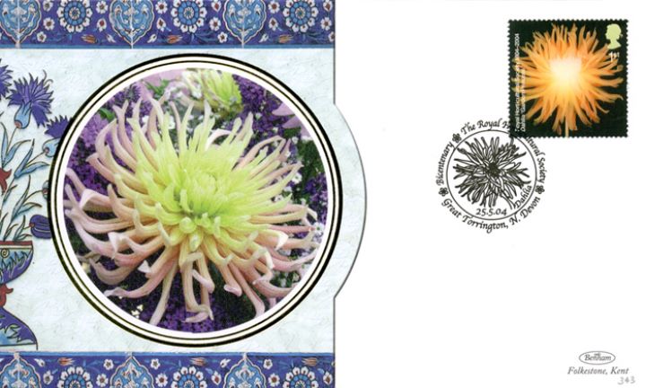 Royal Horticultural Society, Dahlia