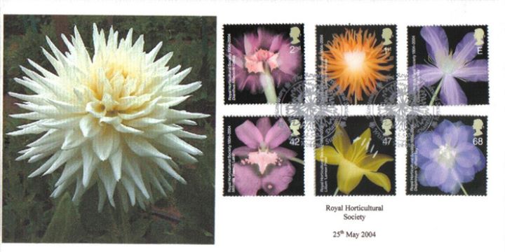 Royal Horticultural Society, Dahlia